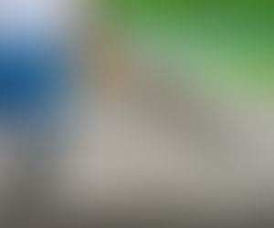 Só não compõem base do ISS materiais de construção que se sujeitem ao ICMS