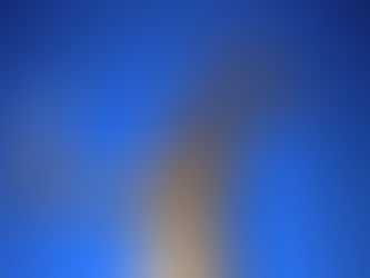 Regência supletiva da Lei das SAs não impede retirada imotivada de membro de sociedade limitada