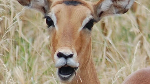 On the Way: Are You Listening?!