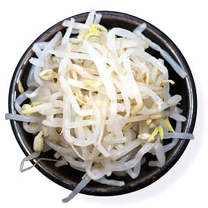 Bean Sprouts
