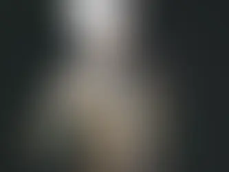 Kanuni Sultan Suleiman, or Suleiman the Magnificent.