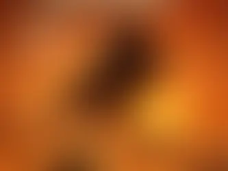 Dune by Frank Herbert, book cover.