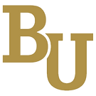 BethelUniversity_edited.png