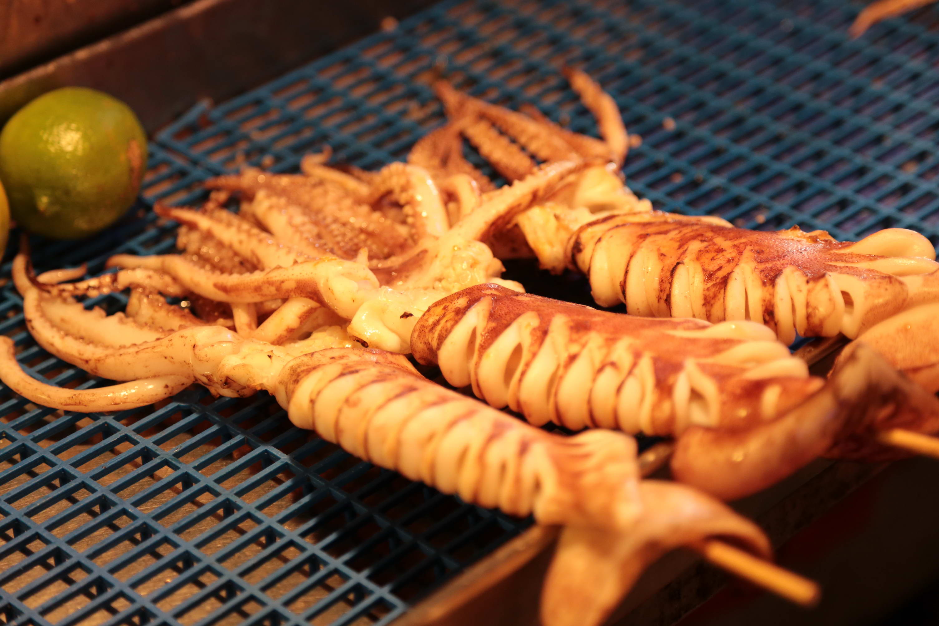 Arranged Food and Objects