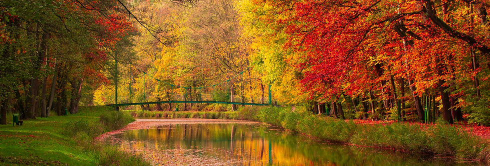 Is Your Plan God’s Plan? – From the Desk of Matthew Kelly