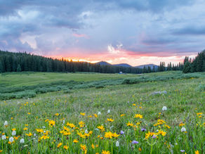 Do You Have a NOT TO DO List?  – From the Desk of Matthew Kelly