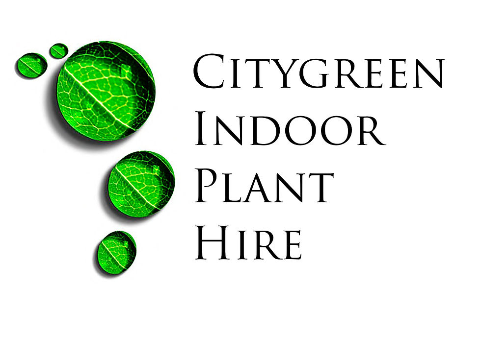Citygreen Indoor Plant Hire