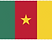 hd-national-cameroon-flag-png-735811695821773wiylcwvdmv.png