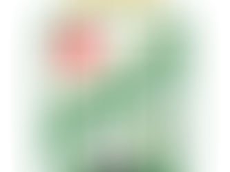 Oriente Petrolero v Nacional Potosí, Santa Cruz, Bolivia