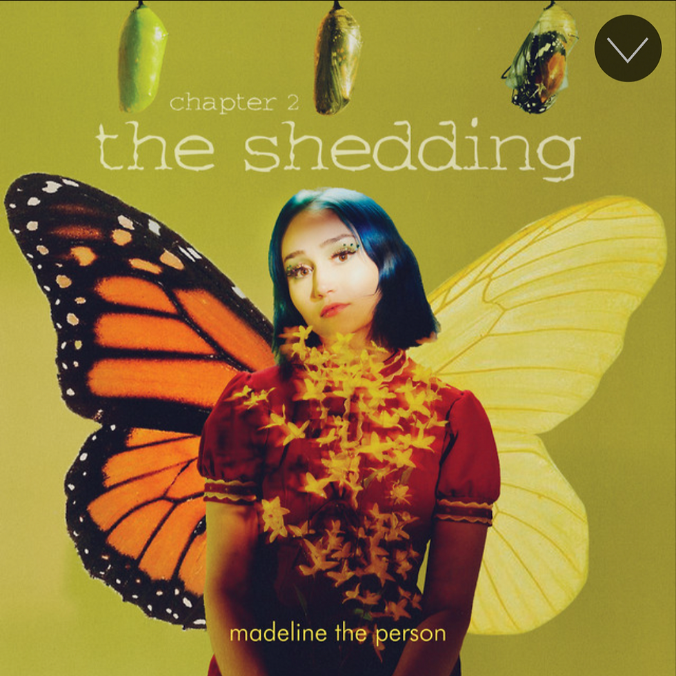 Screen Shot 2022-01-25 at 3.56.39 PM