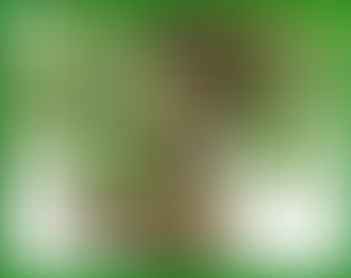 Raíces de la Educación