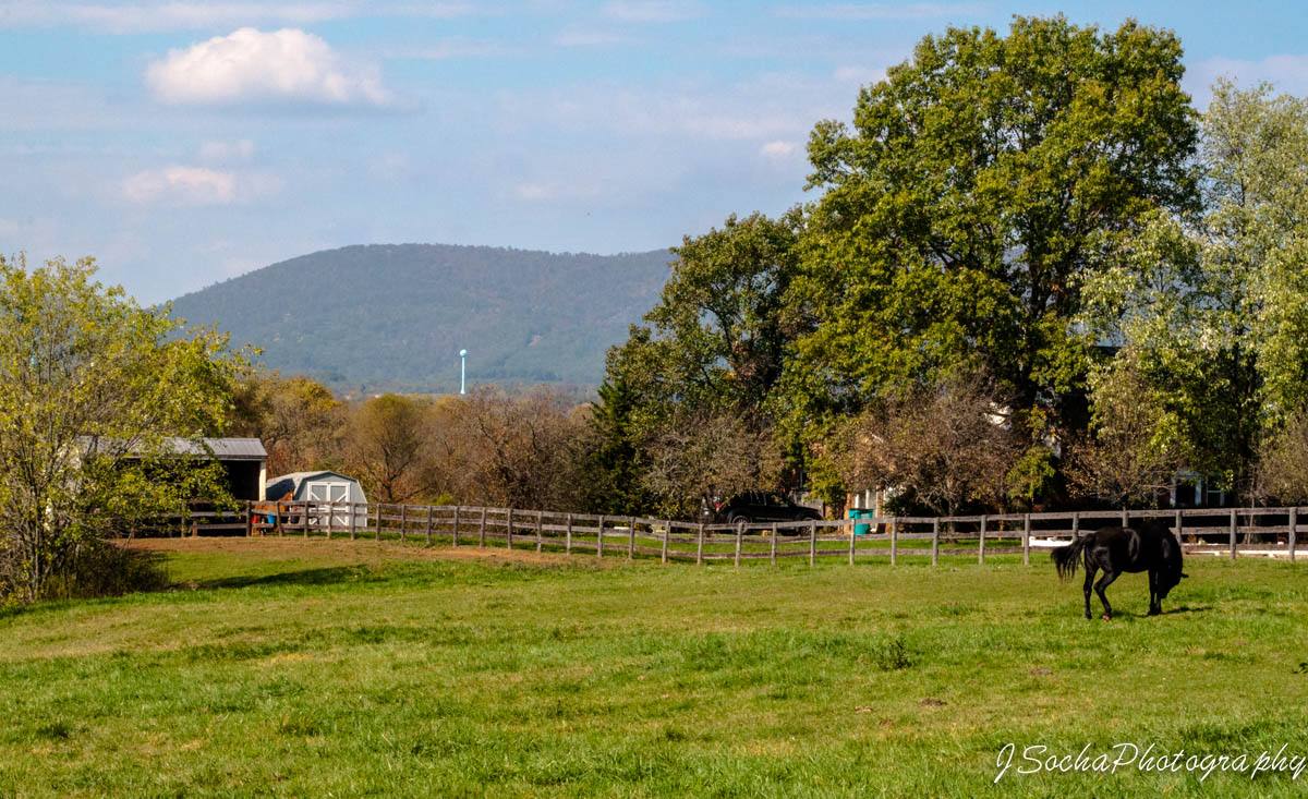 Random Farm