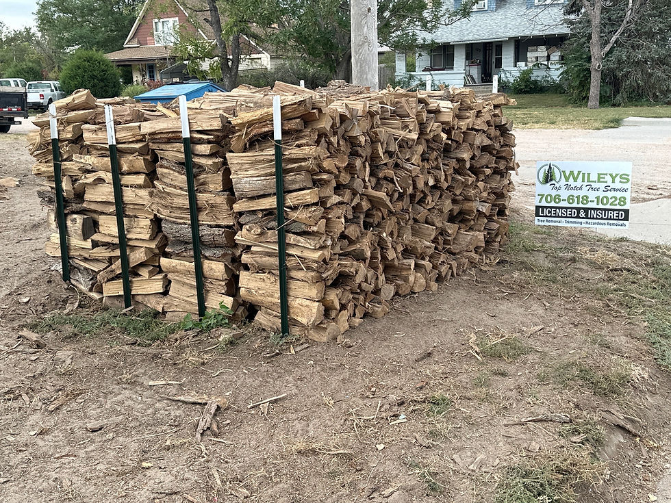 Thumbnail: Fire Wood