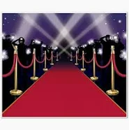 CARPET / STANCHIONS