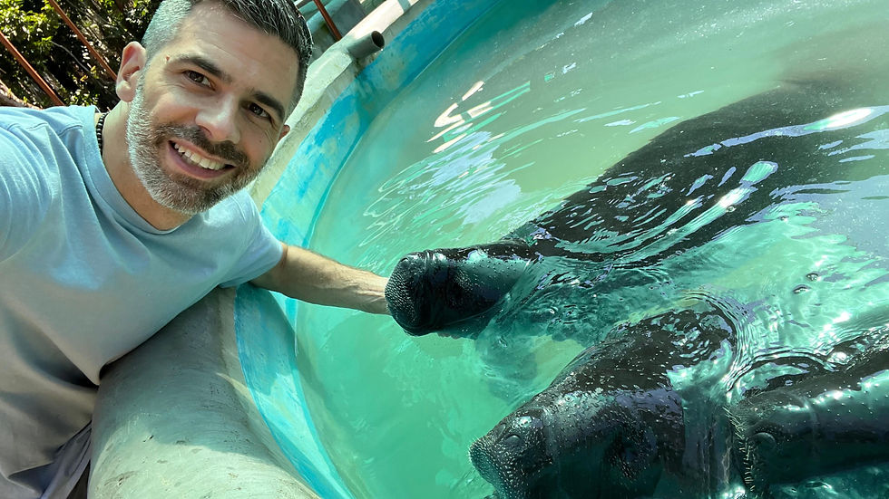 Photo by Daniel Gonzalez-Socoloske