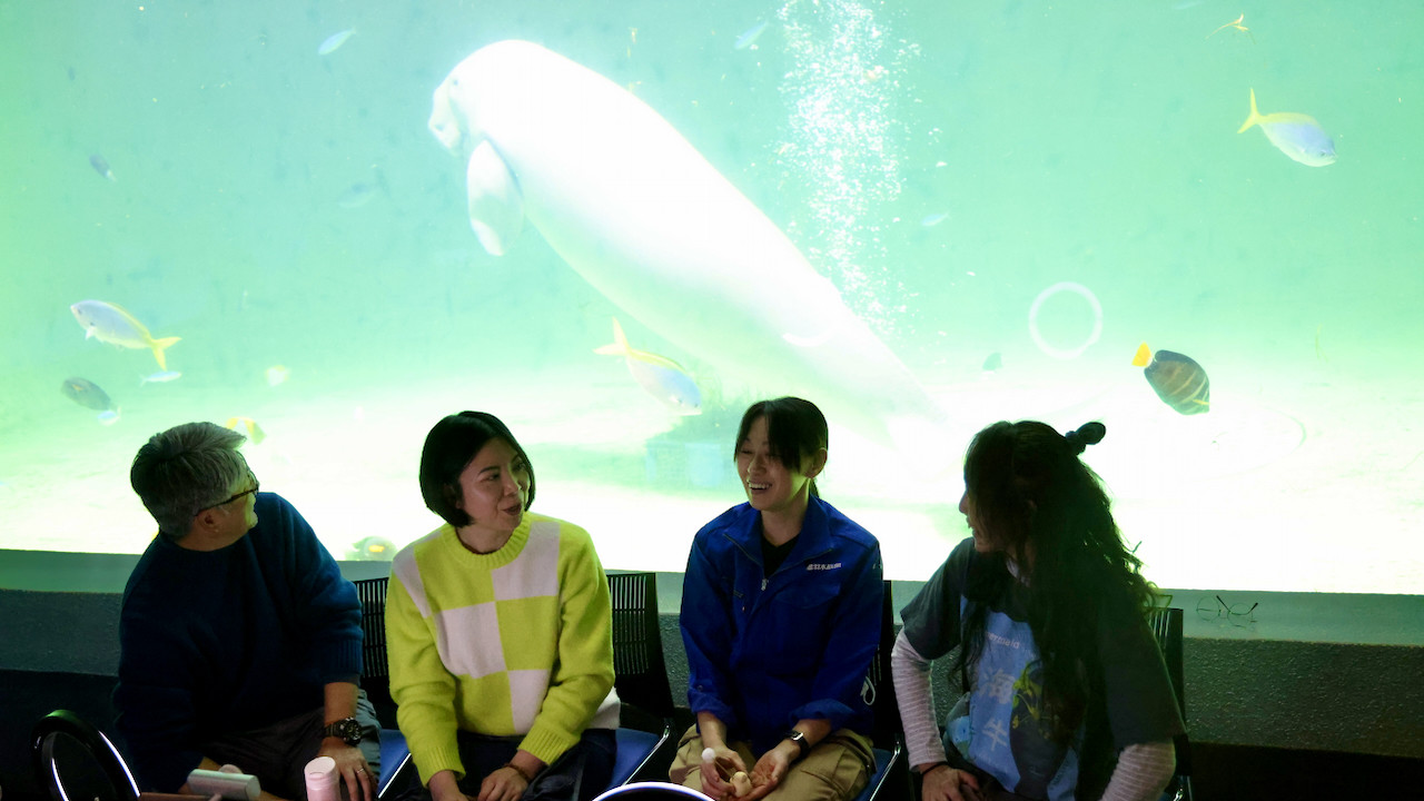 ジュゴンとマナティー : 海牛類の生態と保全 ジュゴンとマナティー 海牛類の生態と保全 – 海想