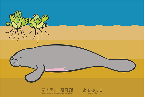 005イラスト追加(仮).png