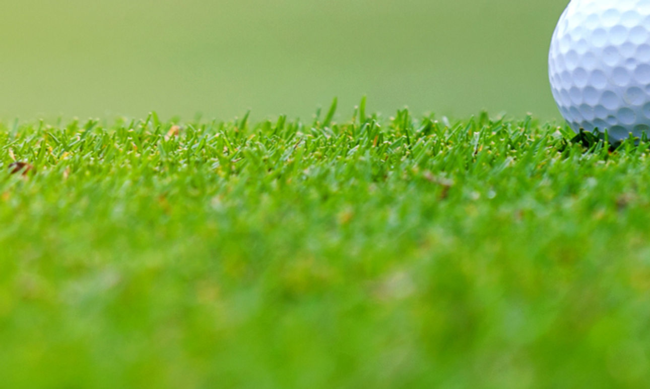 Golf Course Background