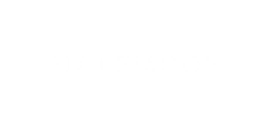 Artboard 1 copy 4.png