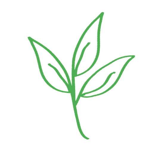 TPY LEAF HAND DRAWN-02.png