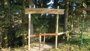 Sportlich durch den Hochwald – der Morscheider Grenzpfad