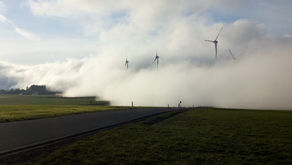 Windkraft – Fluch oder Segen?