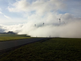 Windkraft – Fluch oder Segen?