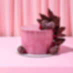 Black Raspberry Chocolate Chip cake tel aviv עוגת שוקולד צ'יפס פטל שחור תל אביב