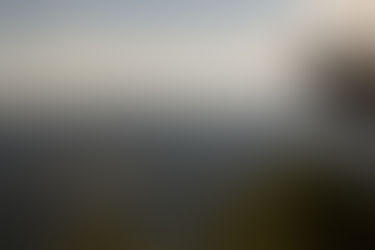 The Journey of Peace