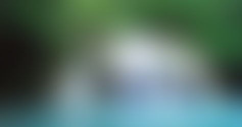 The Journey of Drive Out