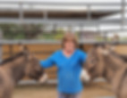 volunteer with donkey