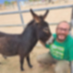 volunteer smiling with donkey