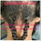 Thumbnail: Gemini Twin Hair Growth Oil