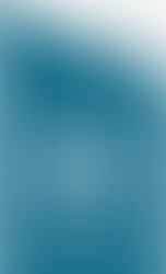 Lingua Dutch: Recognised Service Provider – Get Subsidies for Your Dutch Course in Flanders