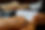 AdobeStock_477257718.jpeg