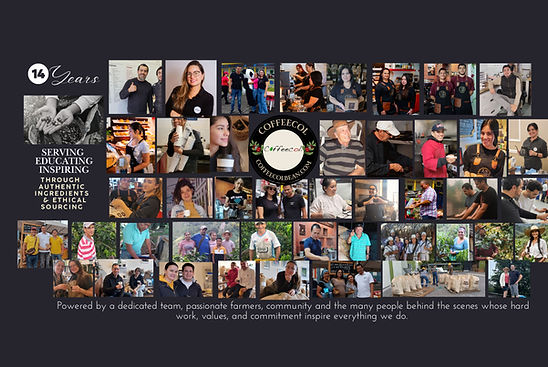 WEBSITE STRIPS IMAGES (1500 × 800 px) (1610 × 900 px) (72 × 36 in) (62 × 36 in) (5952 x 34