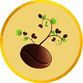 Website_Pic6.png