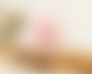 Será que é lhasa ou shih tzu?