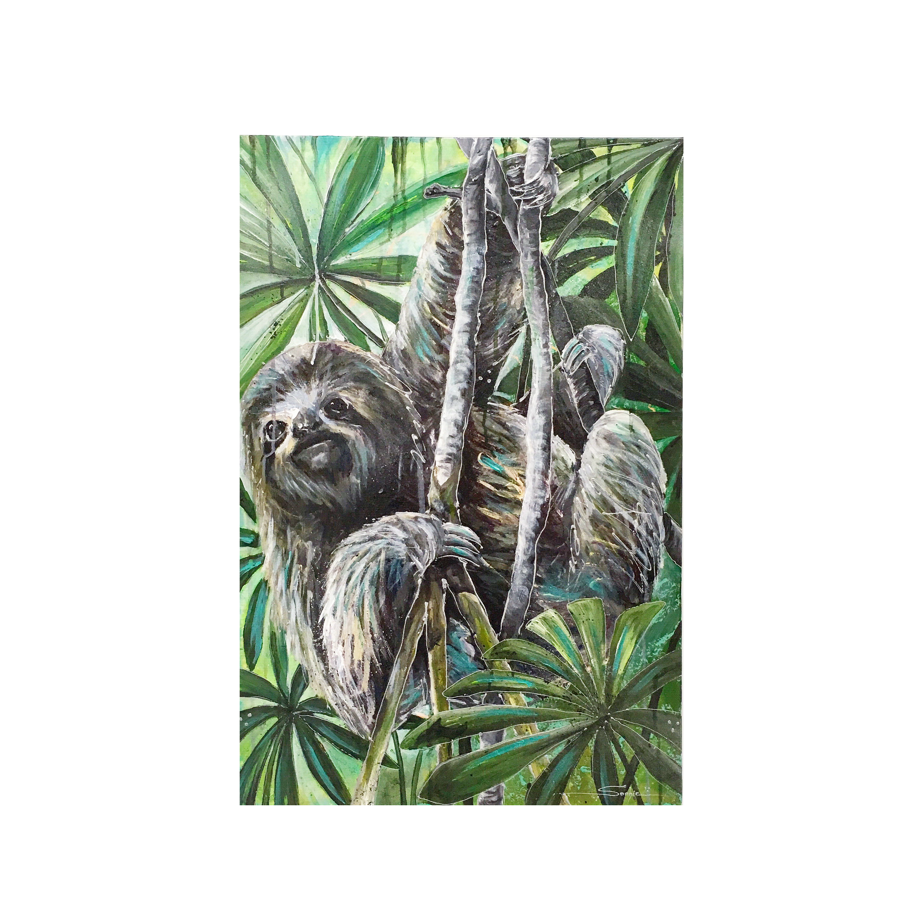 Sloth