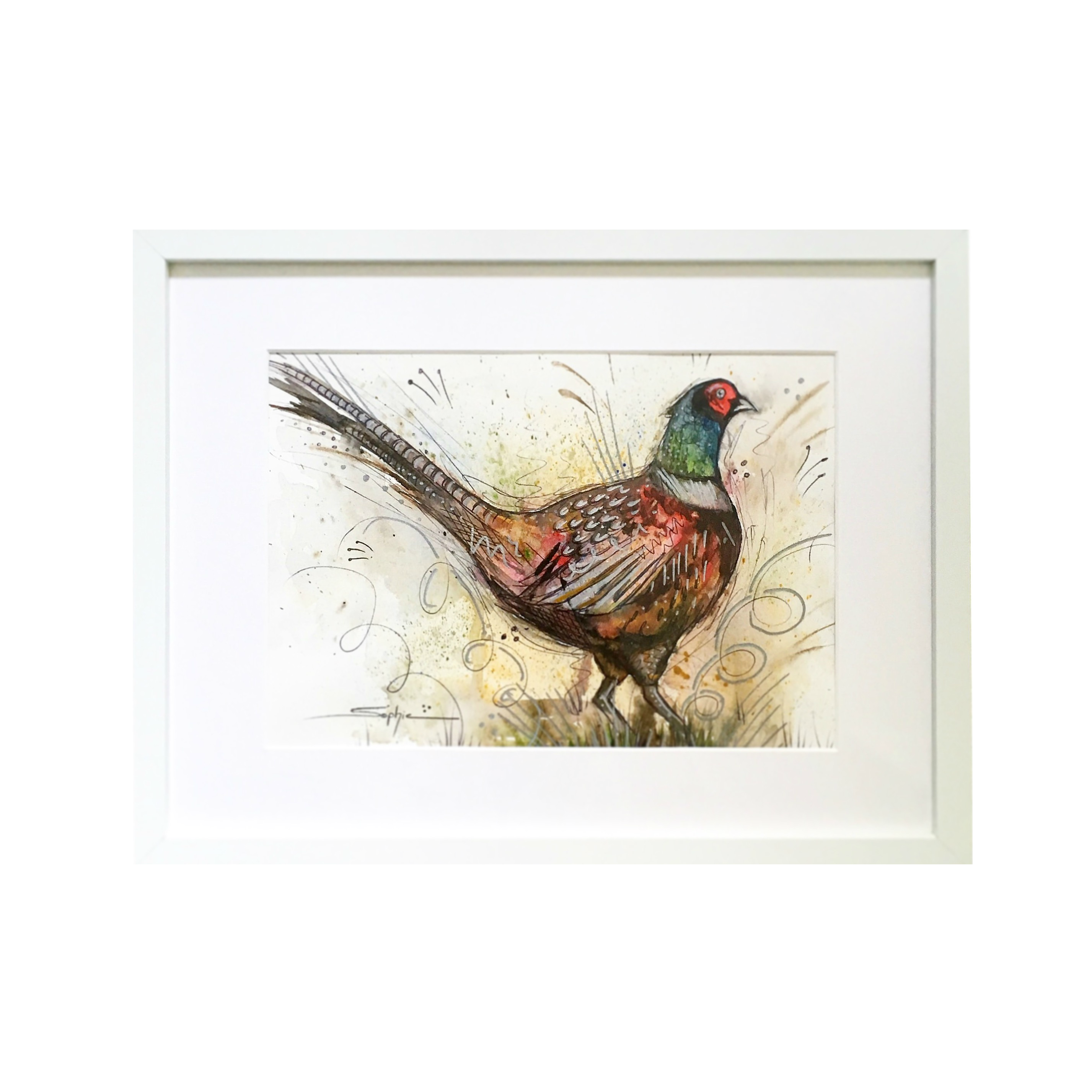 Phil the Pheasant