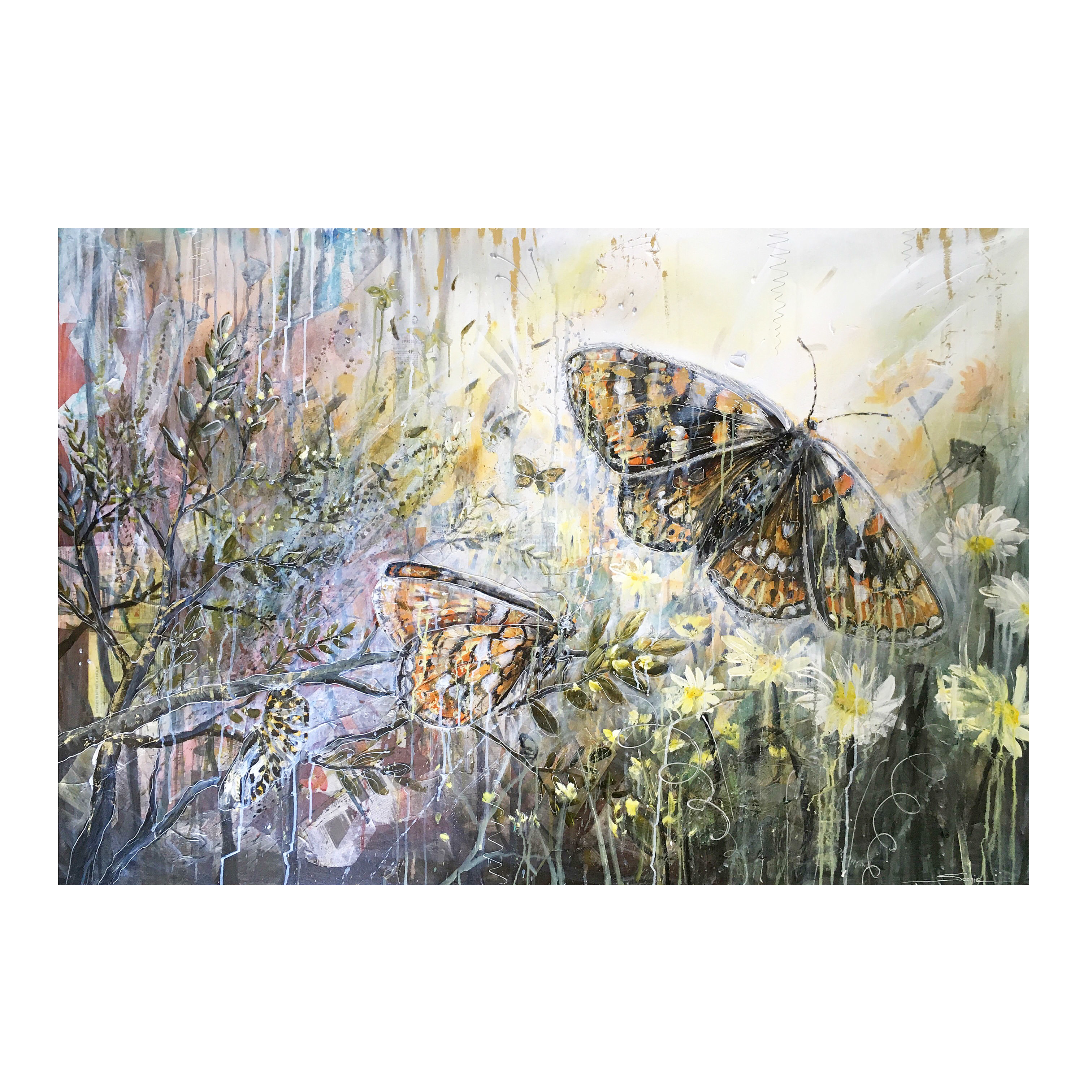 Metamorphosis