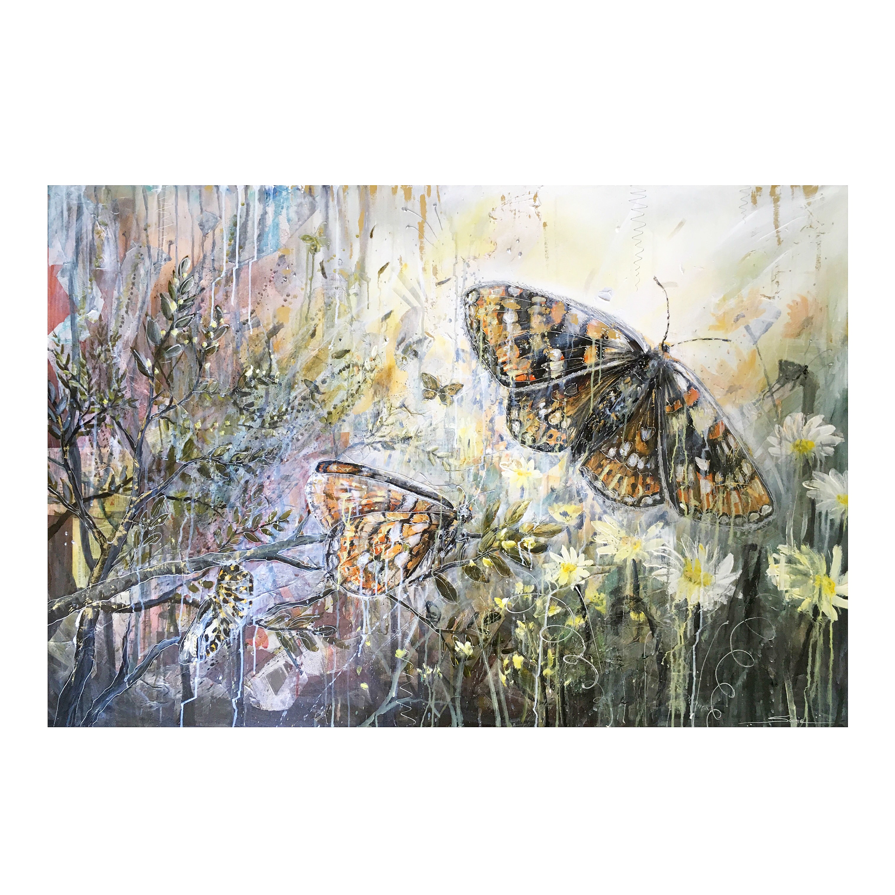 MetamorphosisBlog