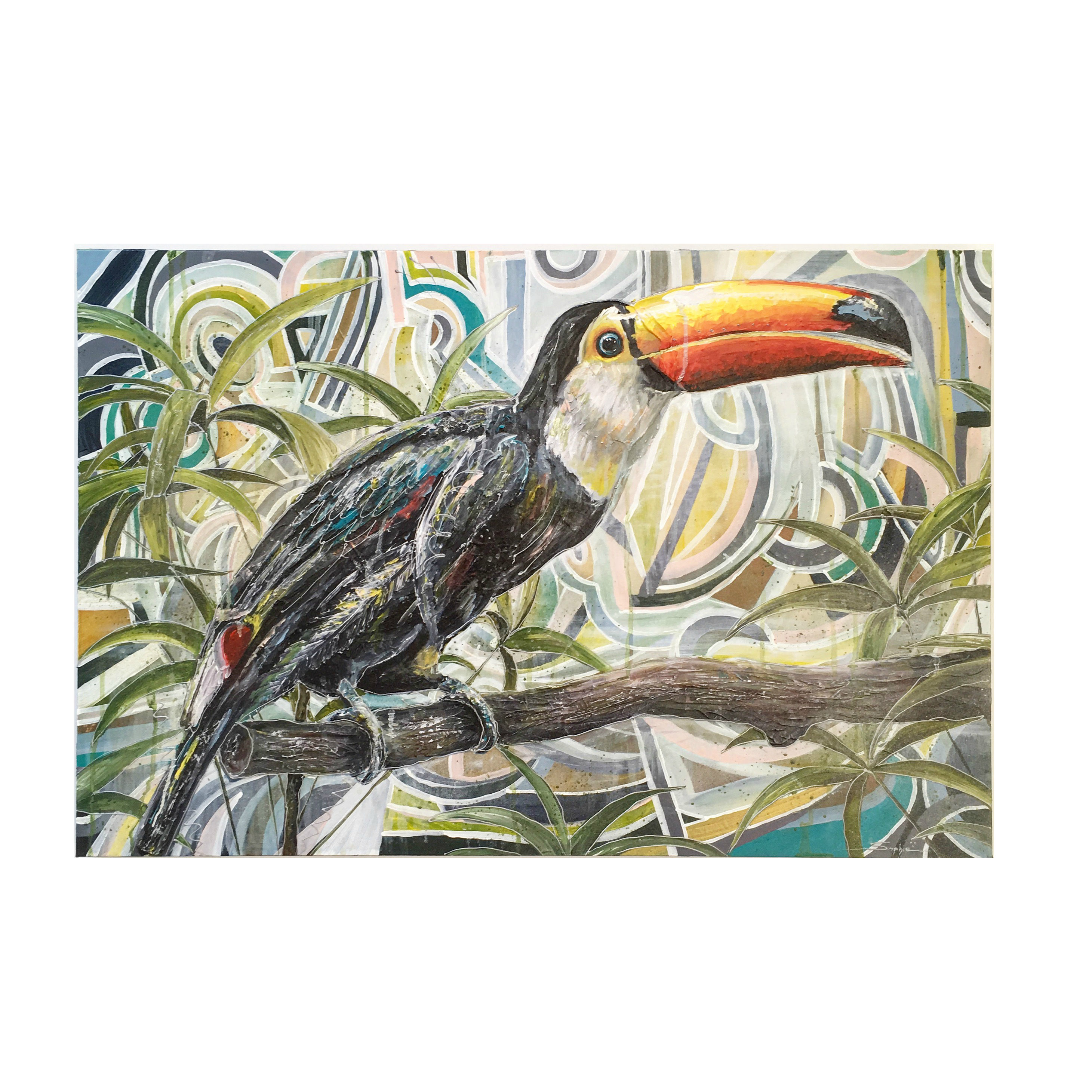Toucan