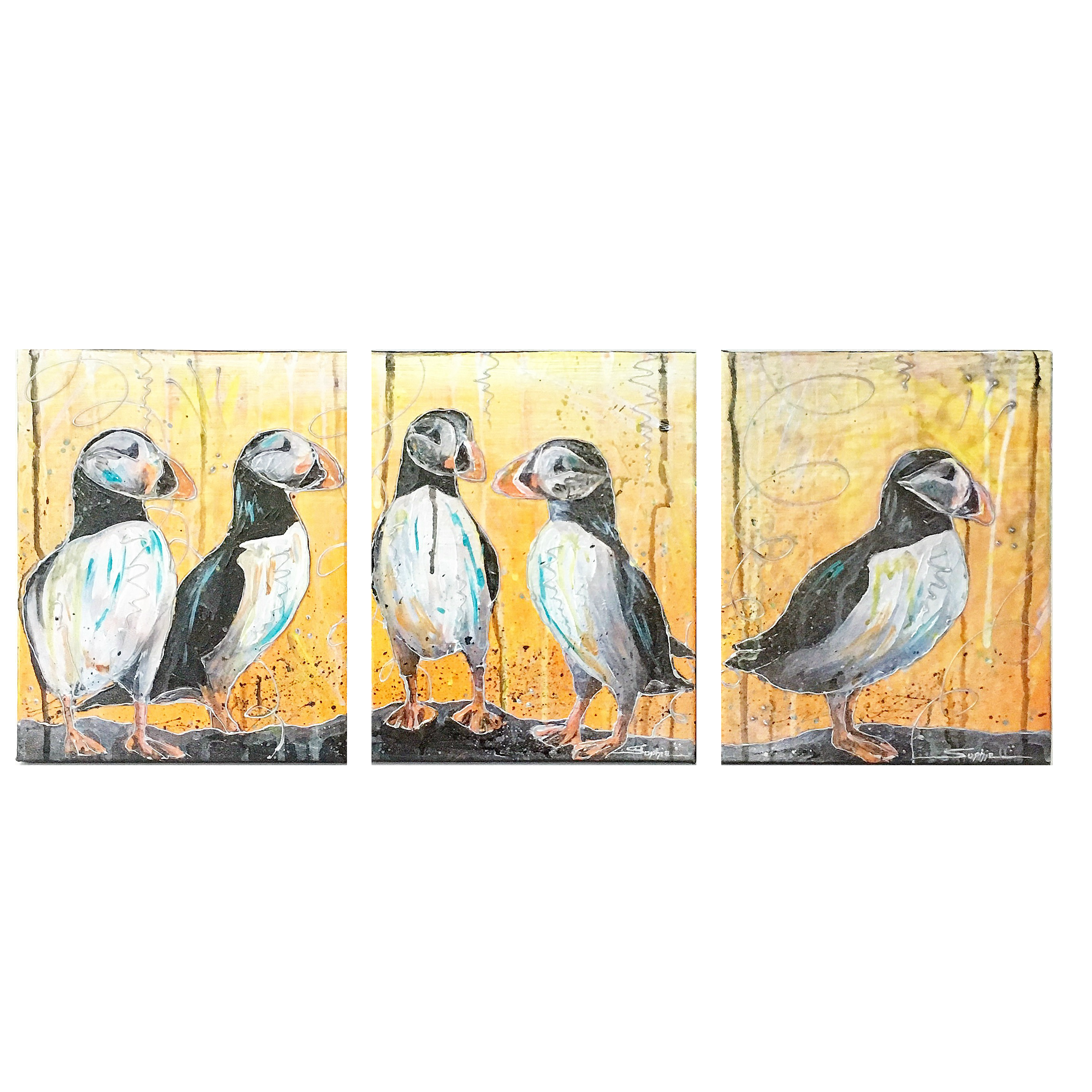 Puffins
