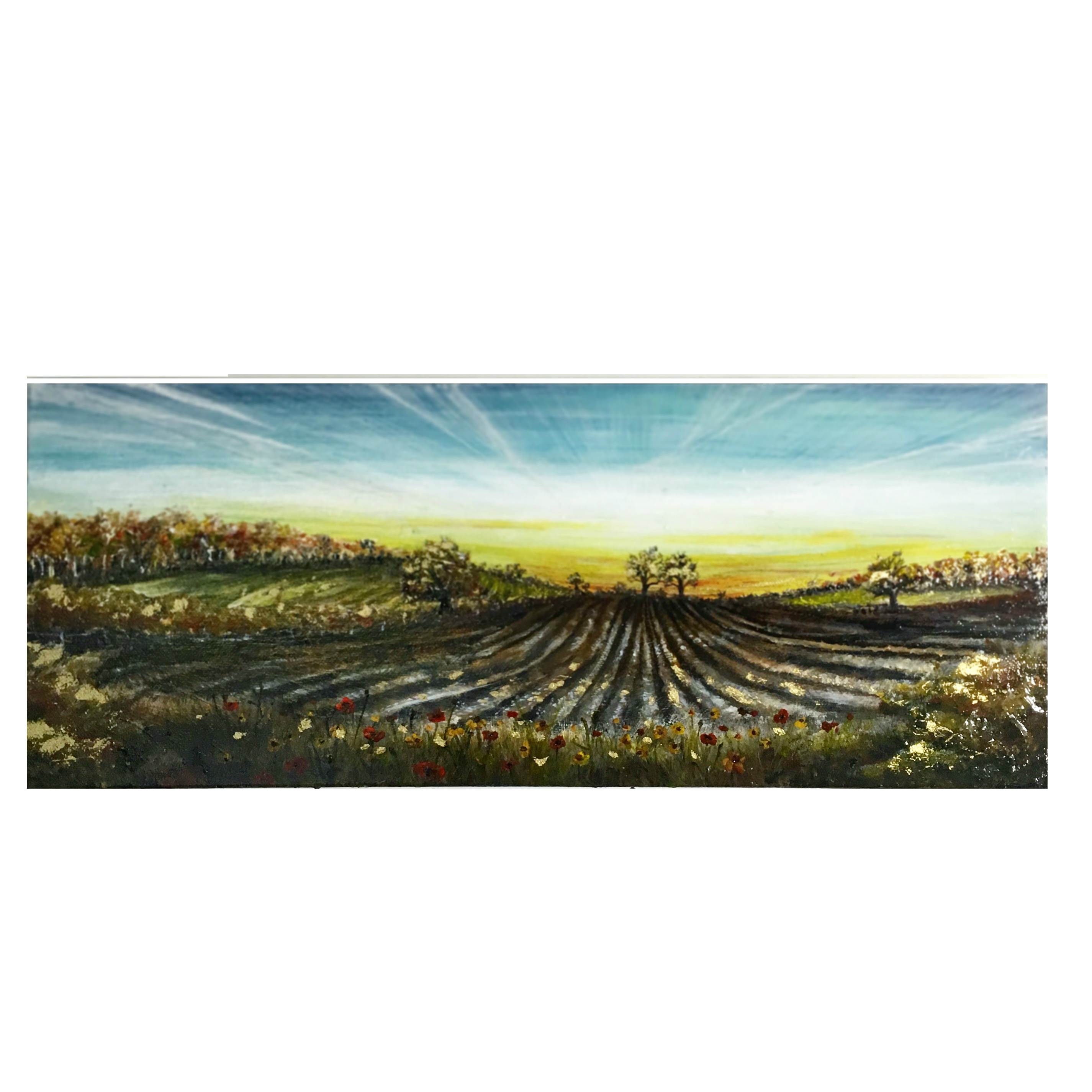 Farmers Fields
