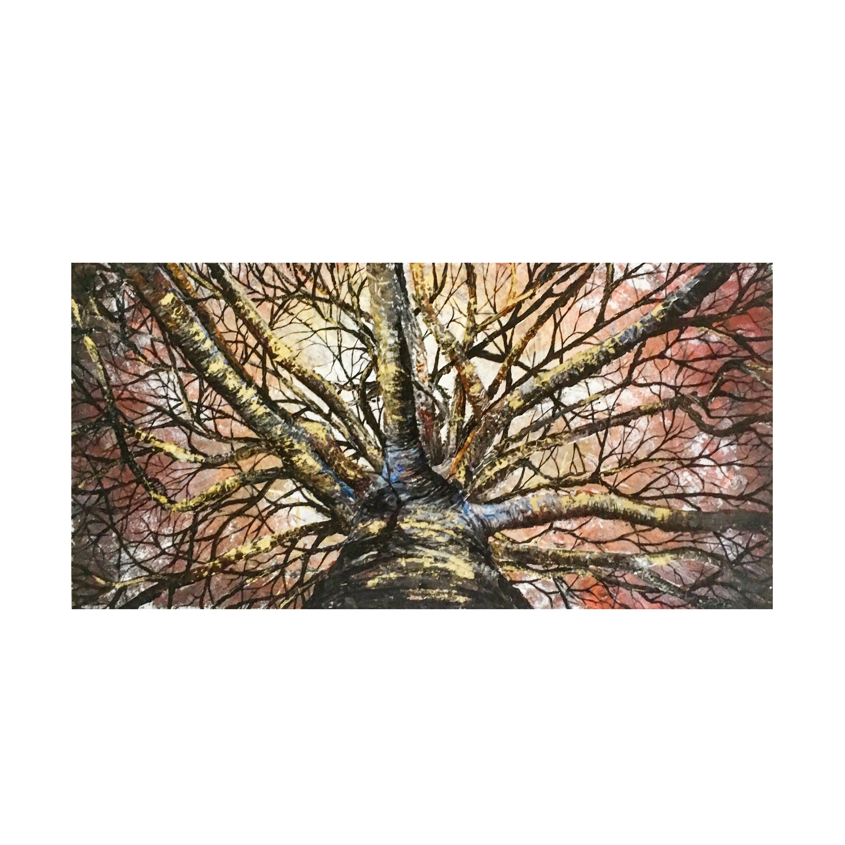 Seed to Sequoia
