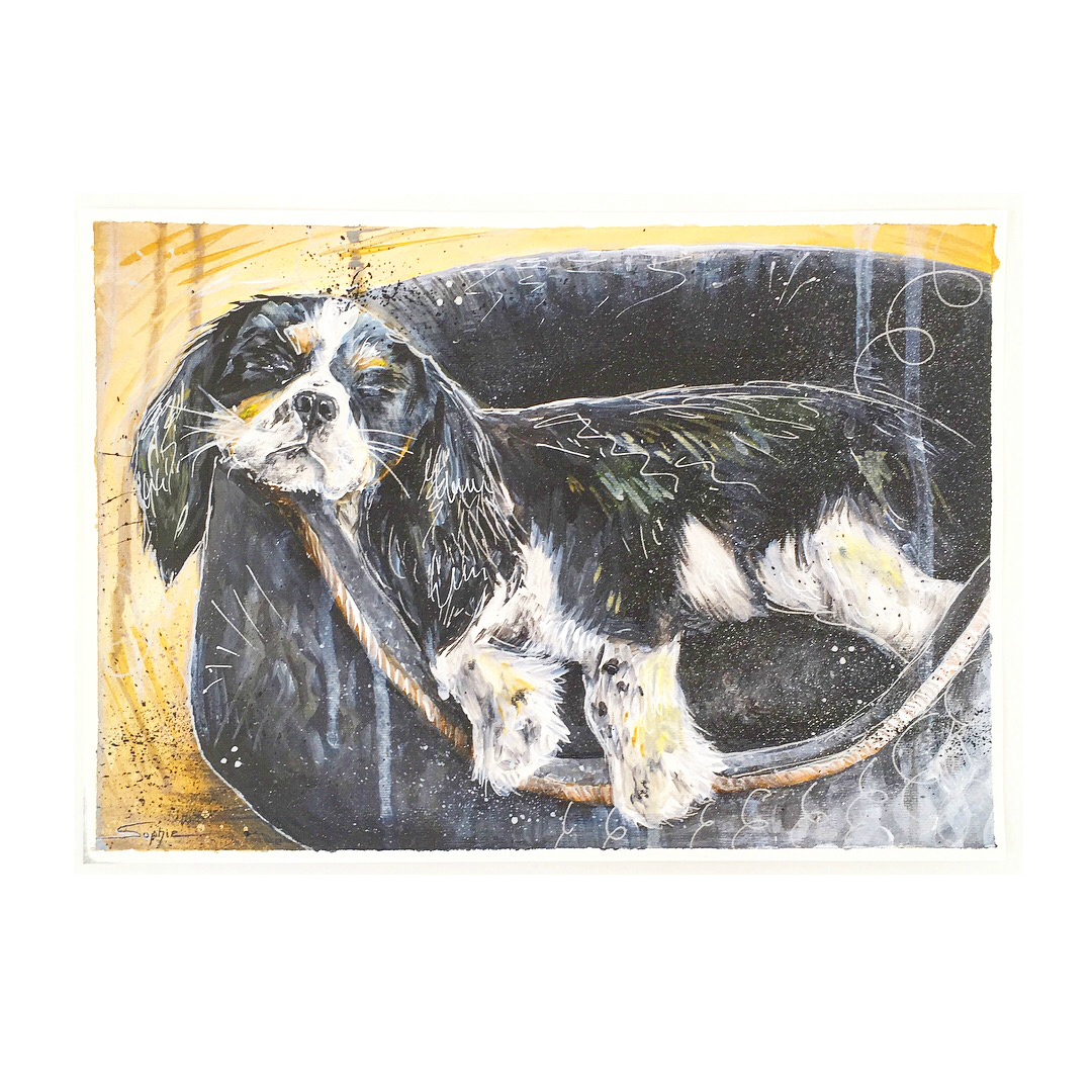 King Charles Spaniel