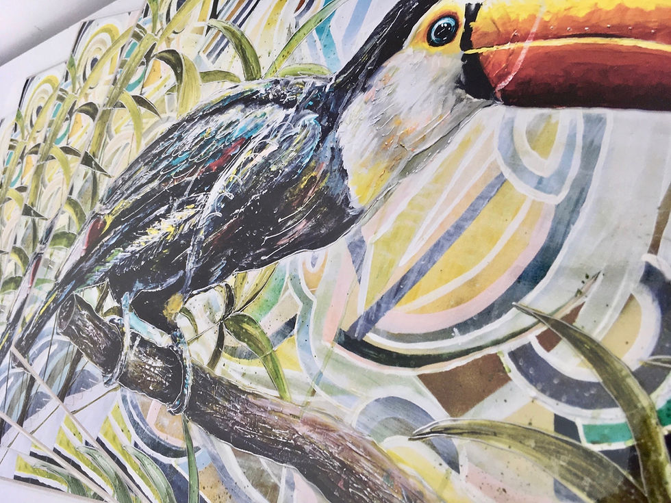 Thumbnail: "Toucan" A3 Print