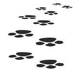 1366x768-Fotolia_5187178_XS_Tapsen.jpg