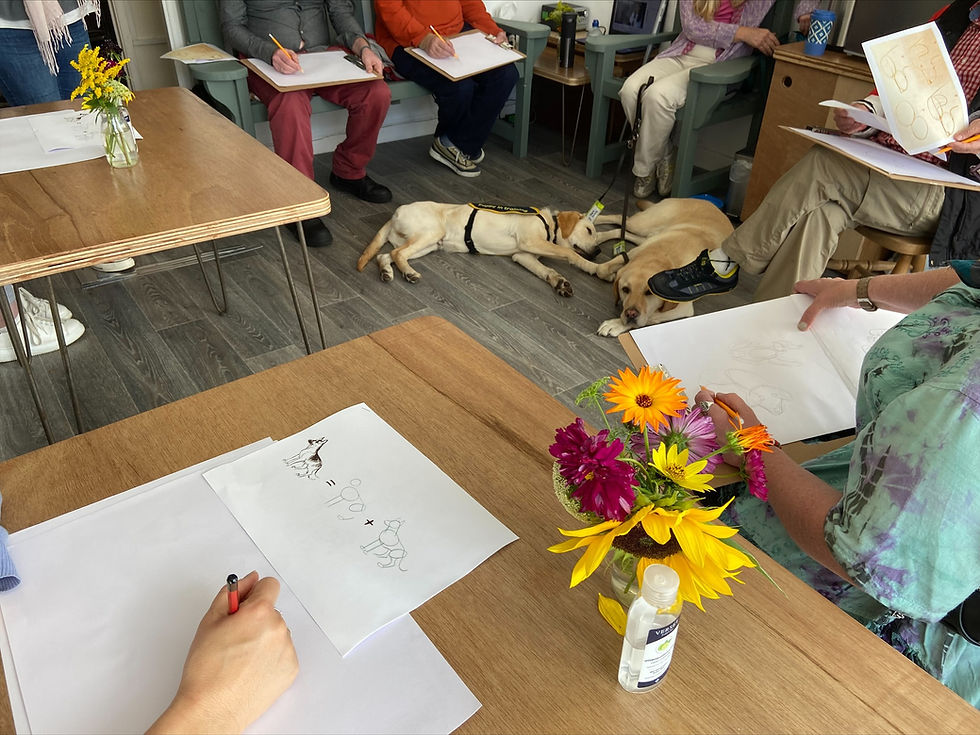 Sketch group - Guide Dogs